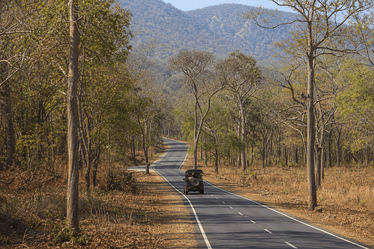 Gundlupet — Bandipur National Park · ~55 km